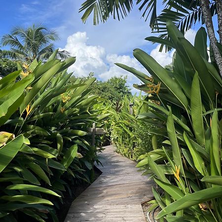 Eden Paradise Ecolodge & Spa سانت لوسي المظهر الخارجي الصورة