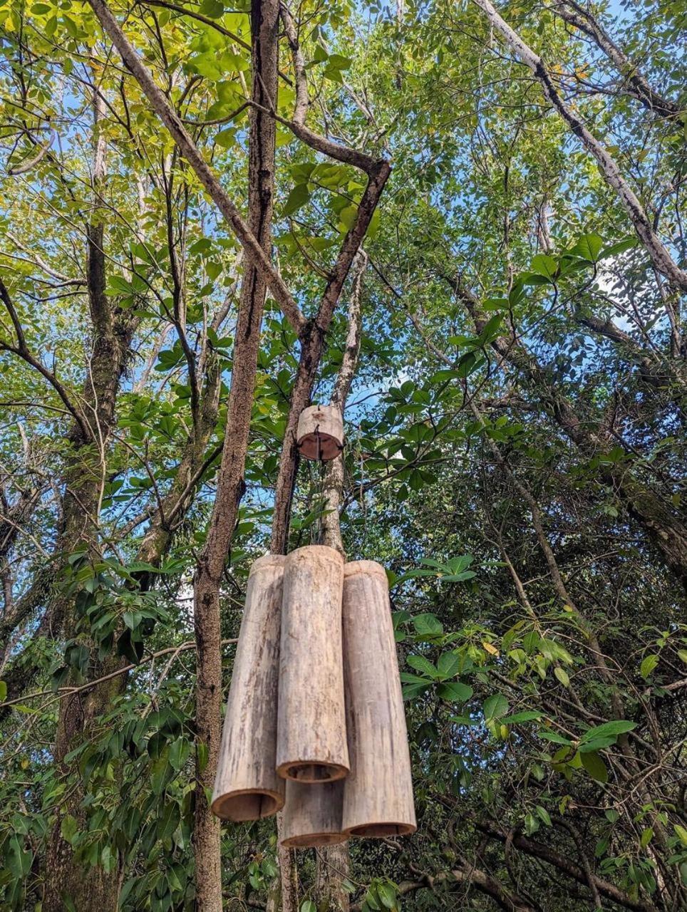 Eden Paradise Ecolodge & Spa سانت لوسي المظهر الخارجي الصورة