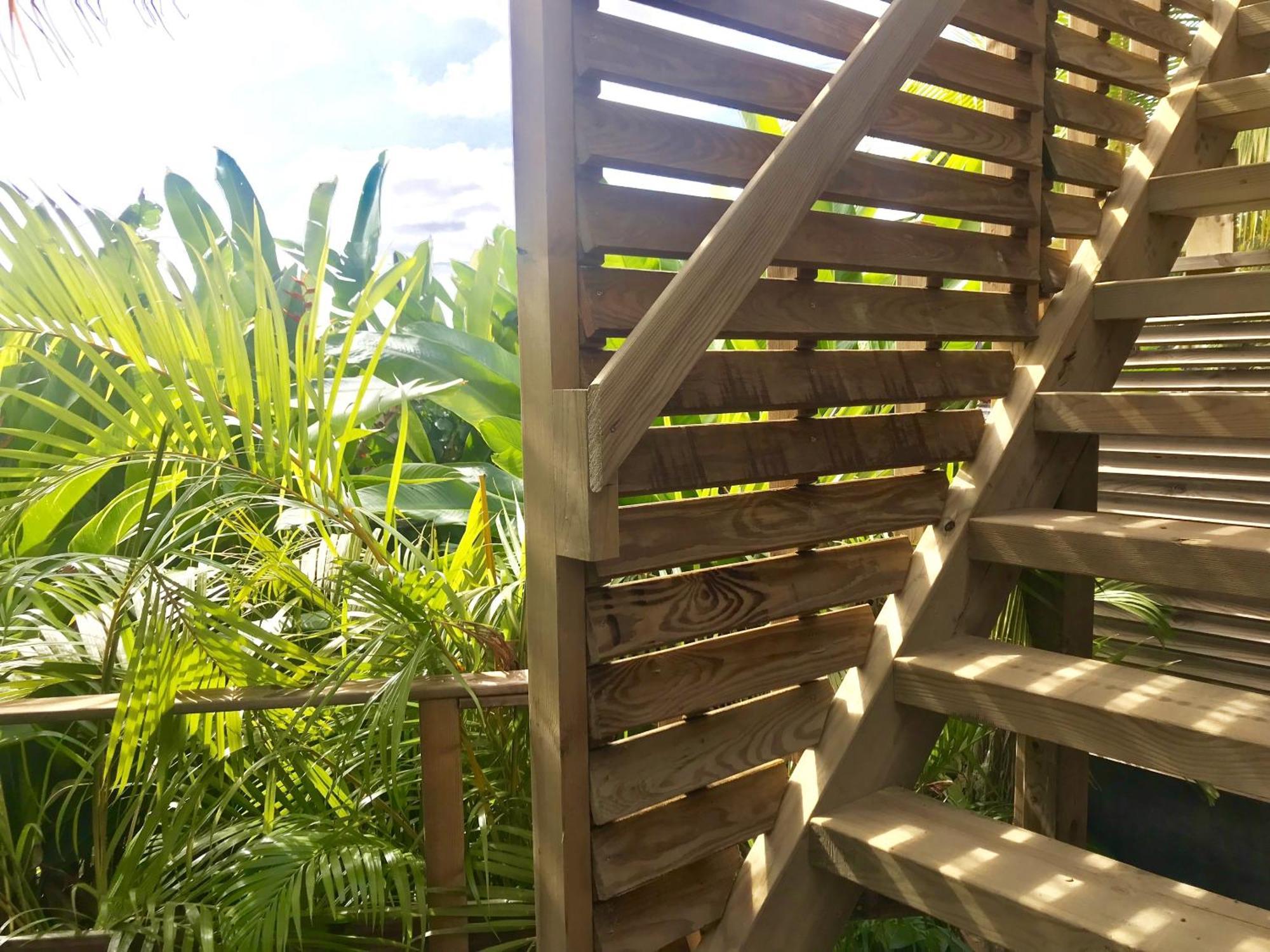 Eden Paradise Ecolodge & Spa سانت لوسي الغرفة الصورة