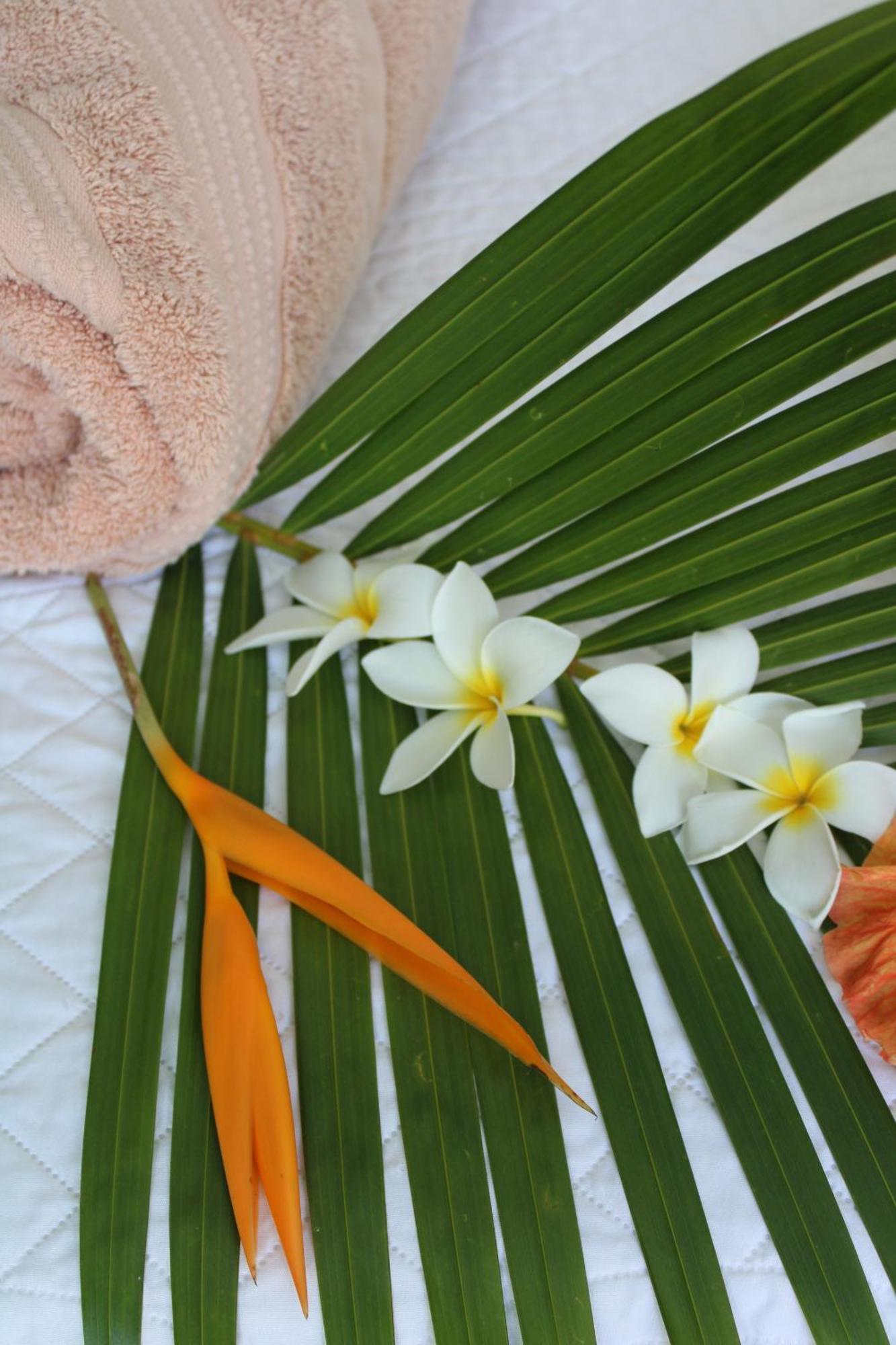 Eden Paradise Ecolodge & Spa سانت لوسي الغرفة الصورة