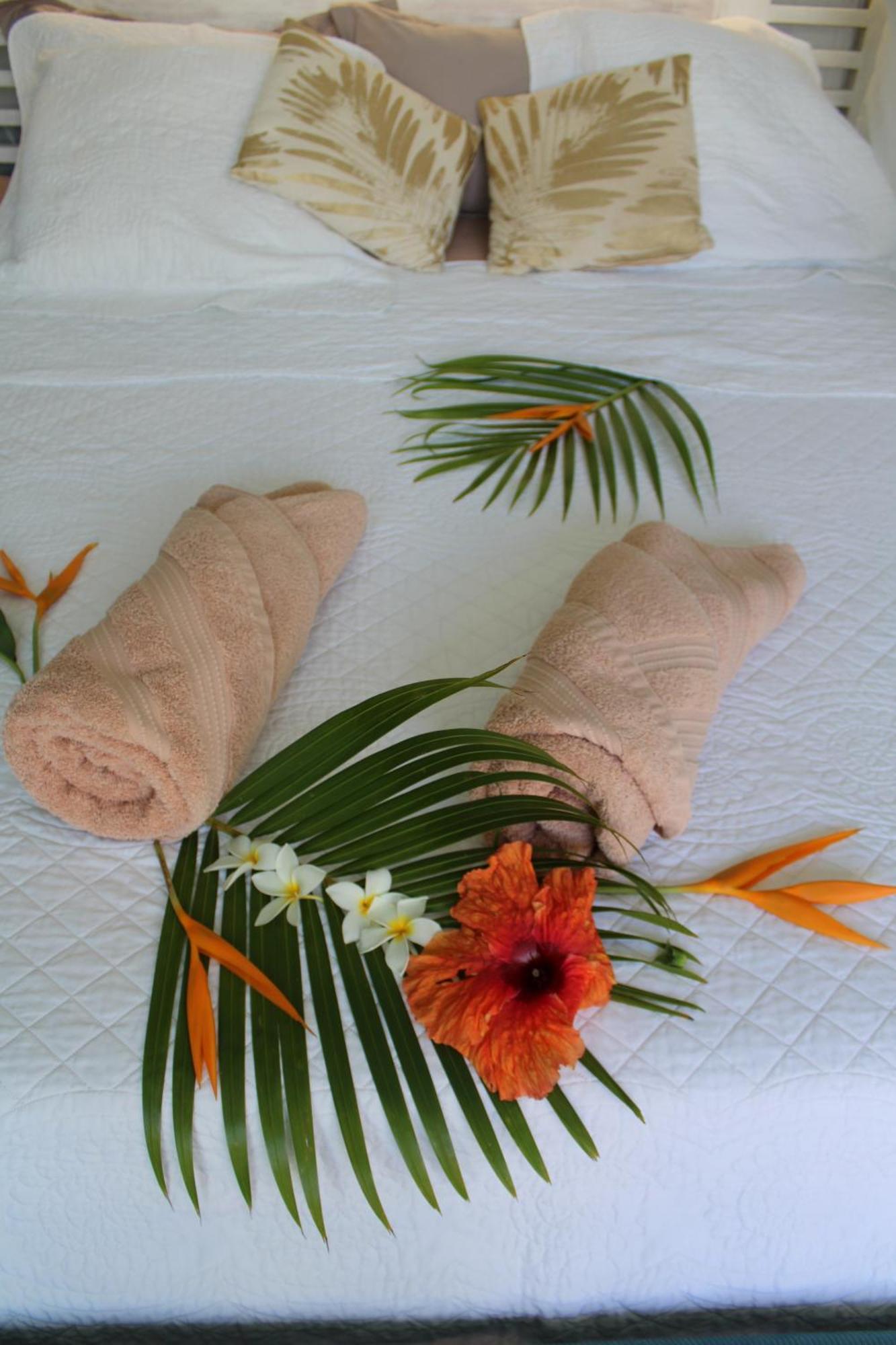 Eden Paradise Ecolodge & Spa سانت لوسي الغرفة الصورة