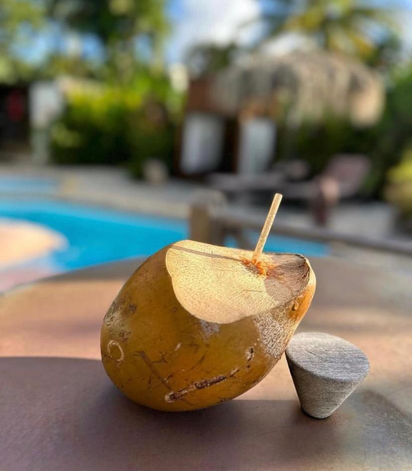 Eden Paradise Ecolodge & Spa سانت لوسي المظهر الخارجي الصورة